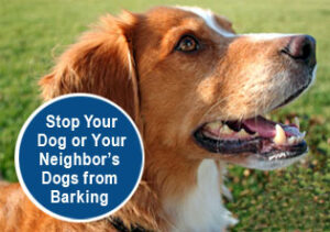 controlling a barking dog